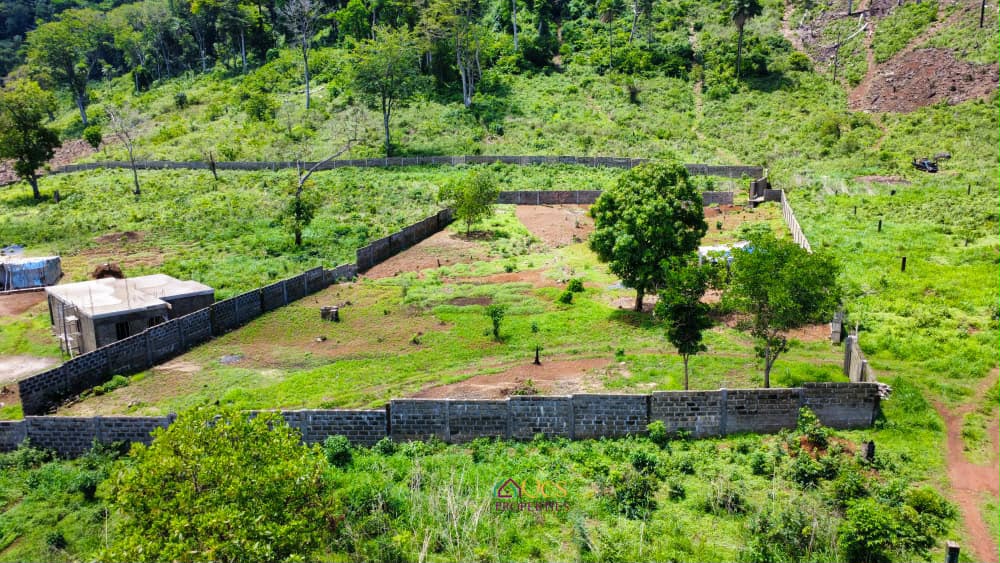 9 Town Lots of Prime Land for Sale – Kent, Off Peninsular Road