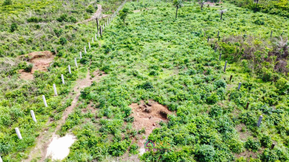 2-acres property  at McDonald, Off Peninsula Road. photo 2